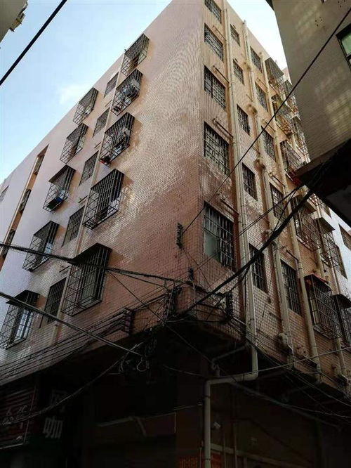 衡水市厂房安全检测鉴定报告 建筑质量检测单位 新闻